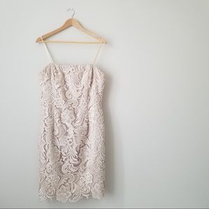 Adrianna Papell Cream Strapless Lace Dress